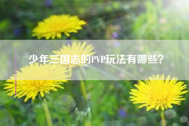 少年三国志的PVP玩法有哪些？  第1张