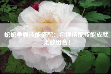 蛇蛇争霸技能搭配：合理搭配技能成就无敌组合！  第1张