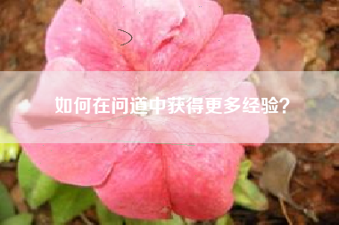 如何在问道中获得更多经验？  第1张