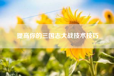 提高你的三国志大战技术技巧  第1张