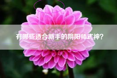 有哪些适合新手的阴阳师式神？  第1张