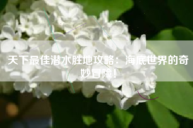 天下最佳潜水胜地攻略：海底世界的奇妙冒险！  第1张
