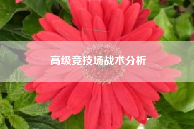高级竞技场战术分析  第1张